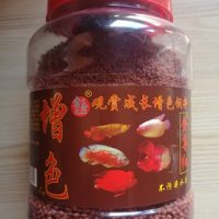Goldfish